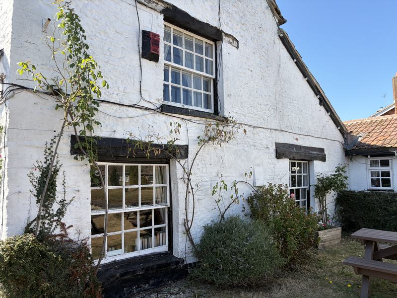 Climbing plants against the whitewashed wall of the pub